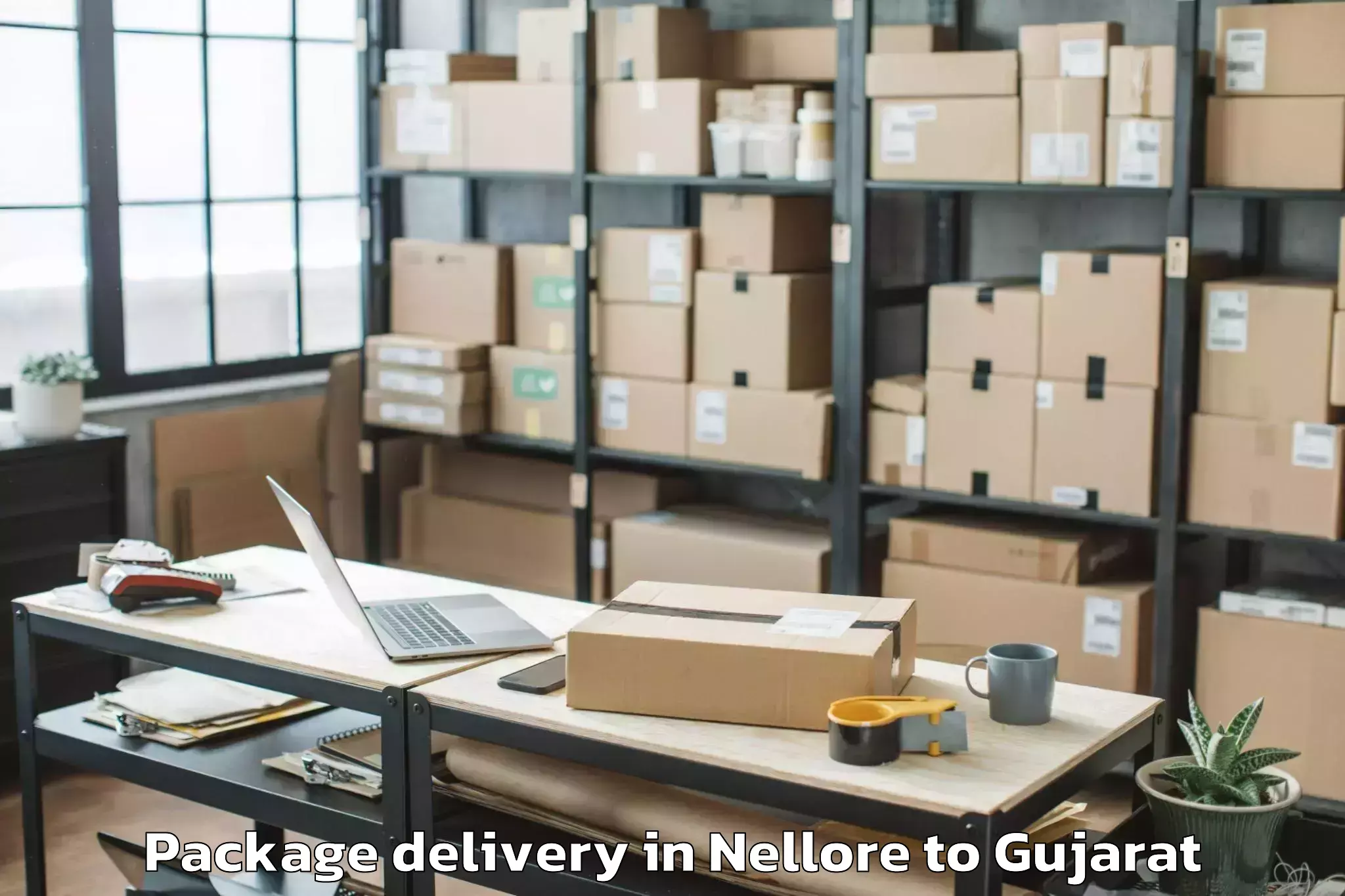 Professional Nellore to Vaghodia Ina Package Delivery